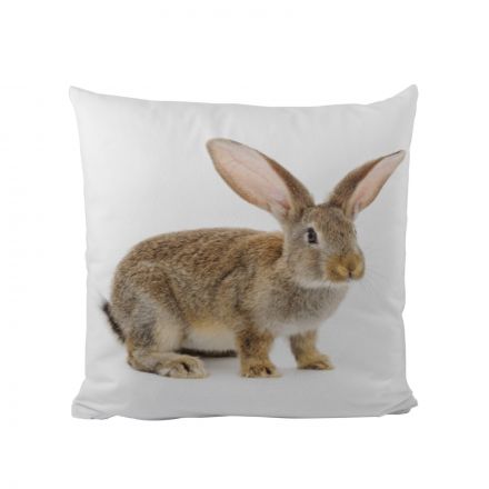 Cushion cover cotton this bunny